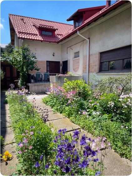 Vilă cu 3 apartamente independente si gradină mare în Cotroceni