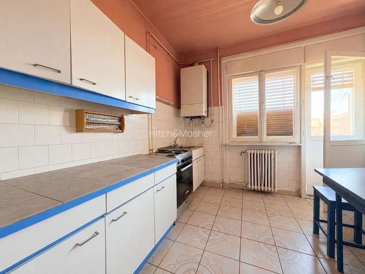 4 camere, suprafata generoasa, vedere panoramica spre raul Timis - 13
