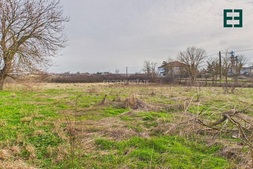 Teren de 8.632 mp + Proprietate Industrială - Voiteg - Județul Timiș - 25