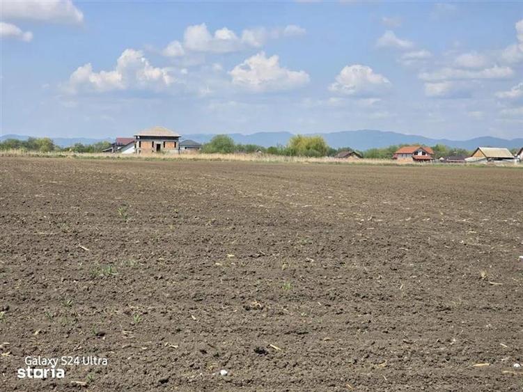 Oportunitate de investiție cu Exclusivitate! BOD, teren agricol!