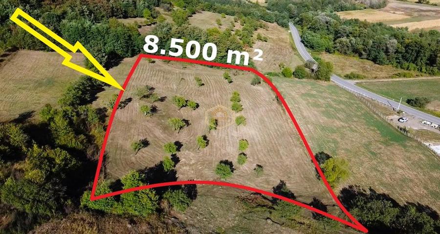 VIDEO | Super view | Teren 8.500 m² in Maramures | Viitorul tau colt de liniste
