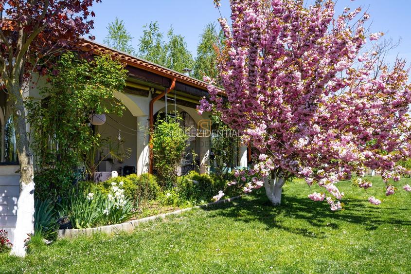 Resedinta spectaculoasa  – Vila exclusivista deschidere directa la lac - 37