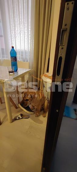 Apartament 2 camere decomandat | Metrou Brancusi | 80.000 EUR.