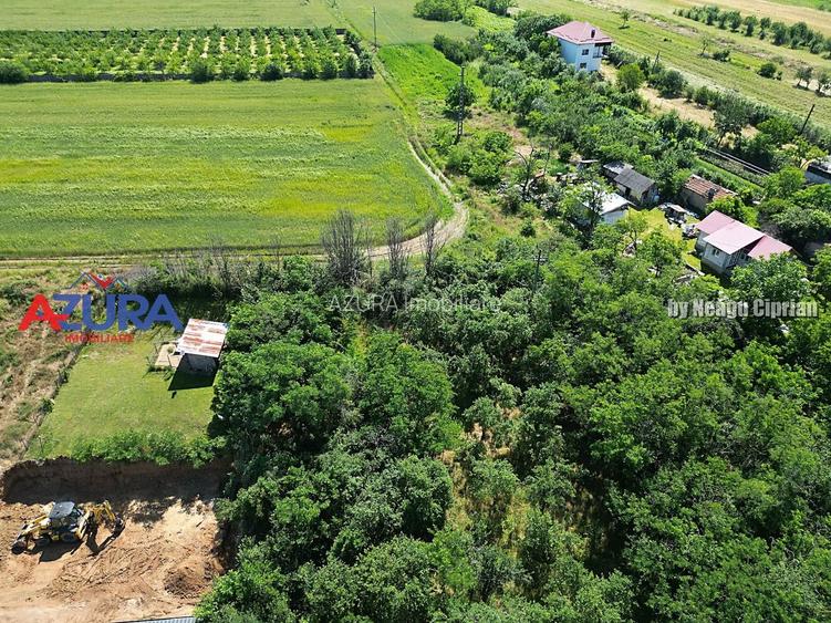Teren pentru vile in centrul orasului Costesti, 3000 mp - 12