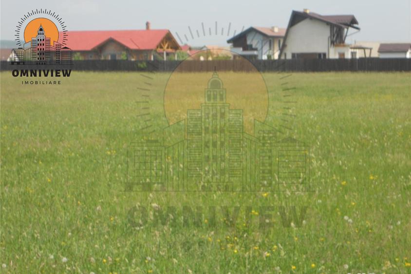 Teren Intravilan 8.000 mp Parcelat, Utilități Disponibile, Podul Olt – Brașov