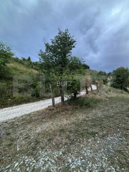 Teren intravilan de 1585 mp, Campeni - 5