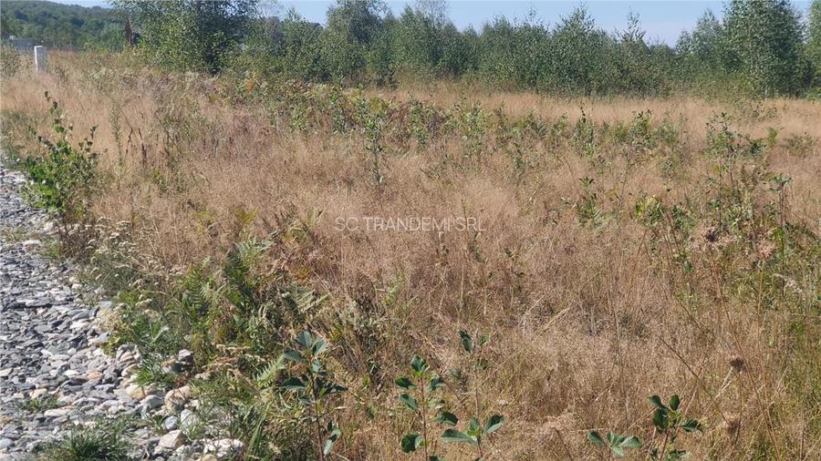 Vanzare parcele de teren 862mp / 1740mp pe Valea Avrigului, Județul Sibiu - 5