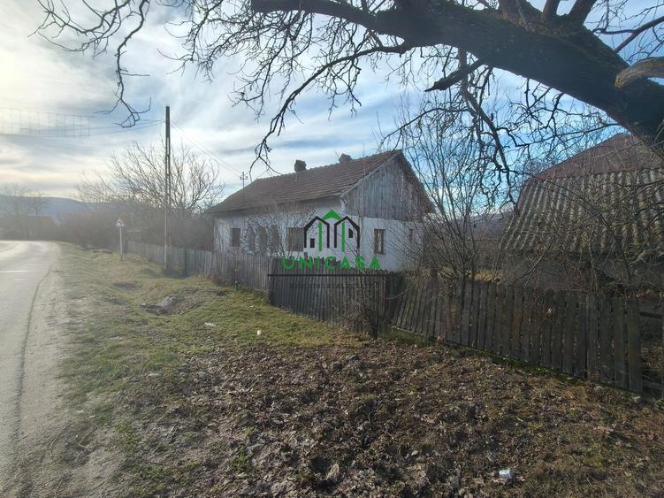 Teren Daesti / 814mp