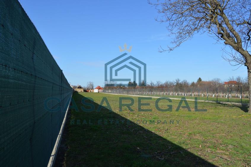 Teren 3500 mp împrejmuit, central, Biharia, lângă Profi, utilități