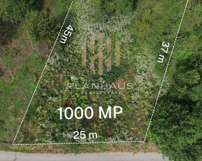 Teren intravilan Ardusat, 1000 mp, acces din drum asfaltat