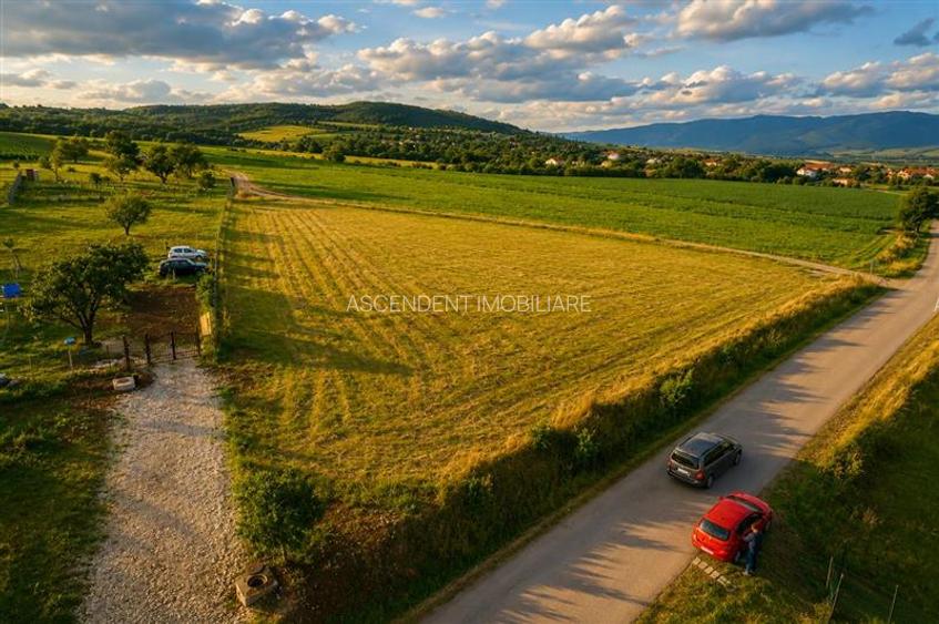 3.800mp recomandat: investitie,rezidenta vacanta,domeniu privat,Valea Crisului - 2
