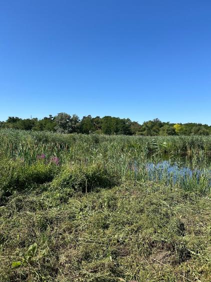 Teren cu deschidere la lac strada Orhideelor- conectare imediata la curent