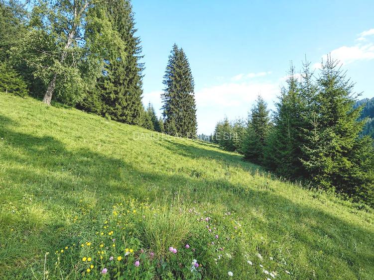 Oportunitate Investiție–Teren Intravilan 2.763 mp, Poiana Brașov Str. Stânii - 4