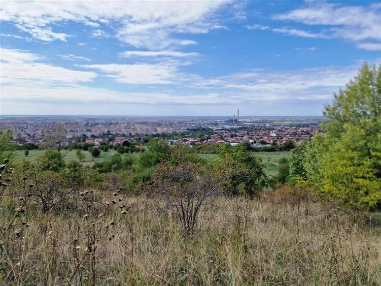 RECO Teren Dealuri Oncea