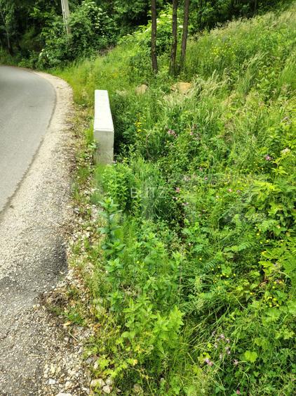 Teren zona de munte 1800 mp, cu apa de izvor, la Somesu Rece - 3