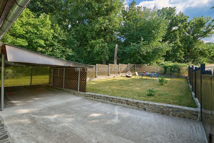 Casa P+ 1+ teren 507 mp cu vecin padurea Pitesti - 22