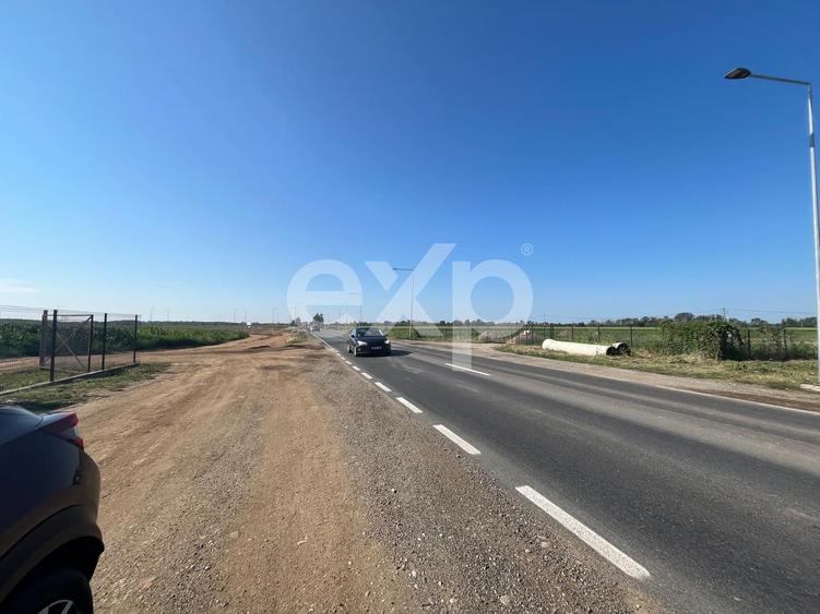 Teren intravilan premium 15.000 mp la DN61 lângă Centura Găești acces rapid A1