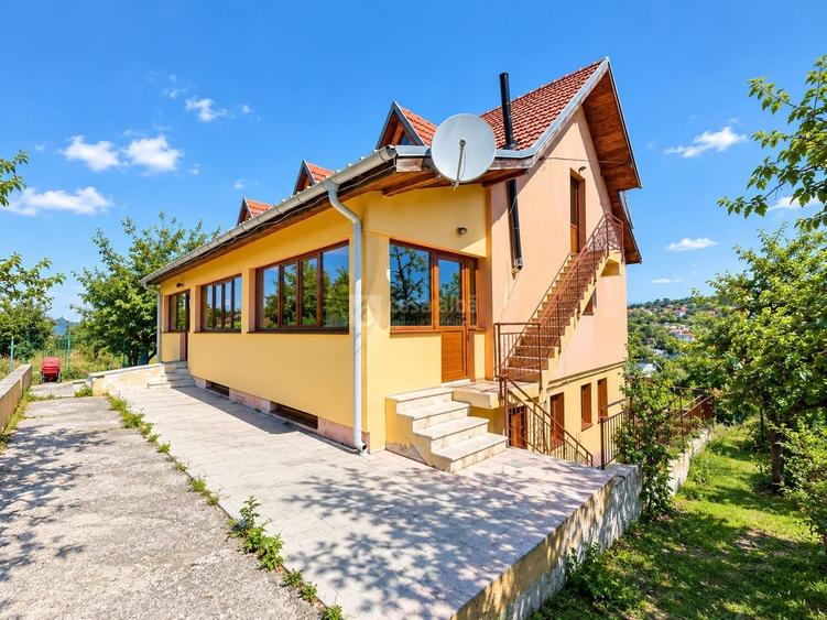 Investitie cu potential ridicat | Bucium, proprietate D+P+M, 19.598mp teren