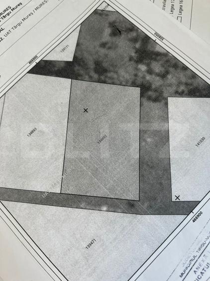 Teren 1400 mp, intravilan – Viile Dealul Mic, zonă liniștită