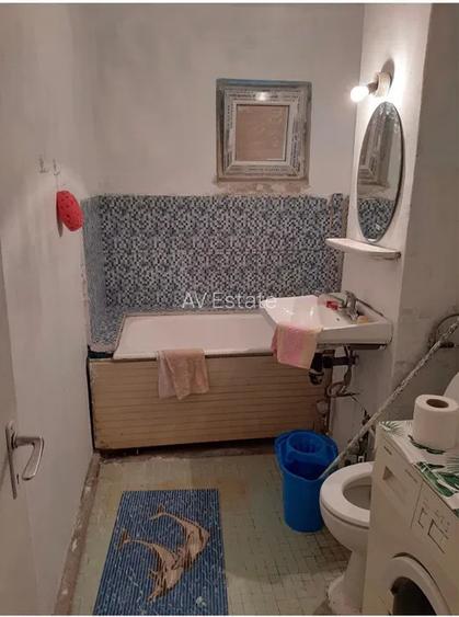 CI679 Barnutiu-Lugojului,2 camere,Parter