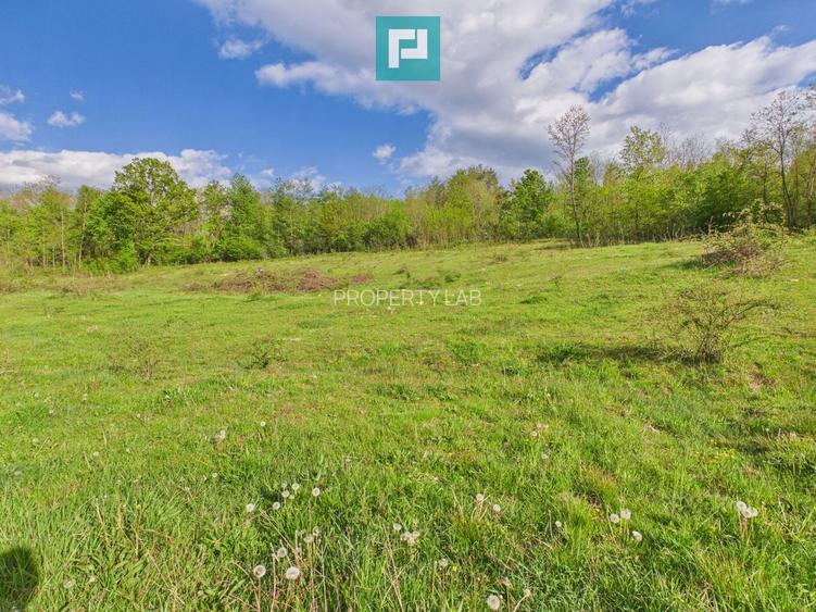 Casă cu teren de 17.681 mp, în loc. Hălmăgel, Arad - 24