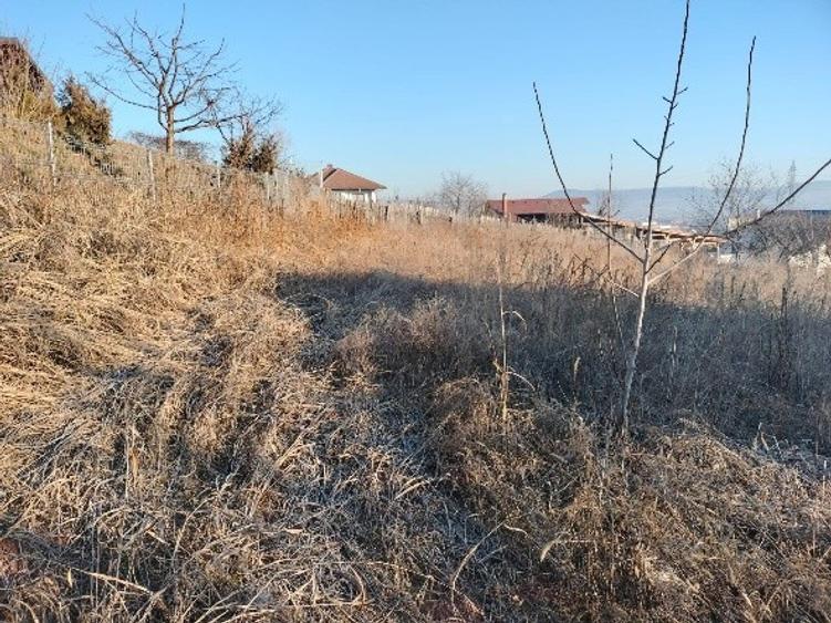 1400 mp. Deschidere 38 m Teren Intravilan CETATE Valea Popii utilitatile langa