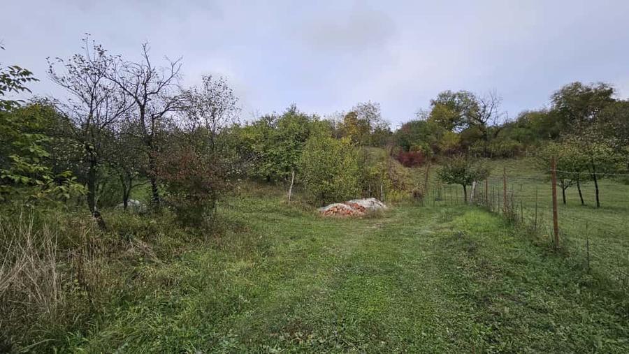 0 % comision, Lot format din 3 parcele, zona Antonio Gaudi-Borhanci