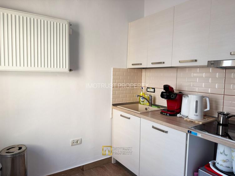 Spațiu Ultracentral de Închiriat – Arad - 4