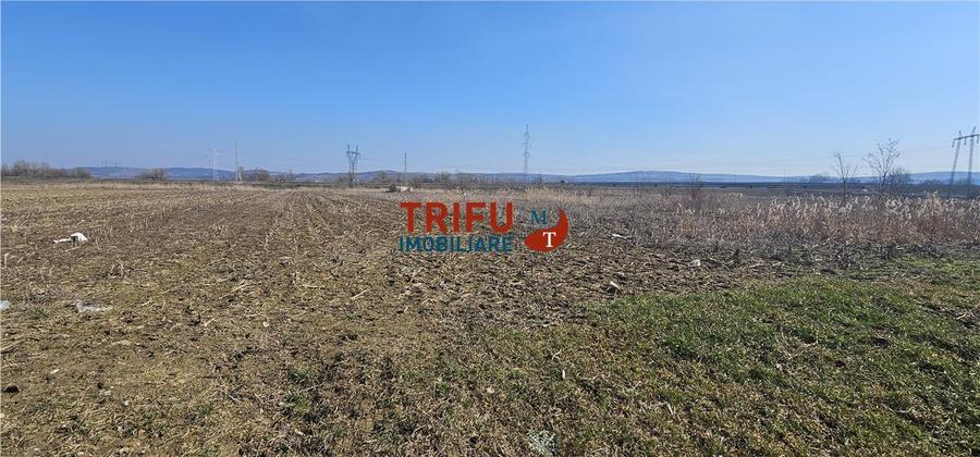 Teren de Vanzare Zona Soseaua De Centura !