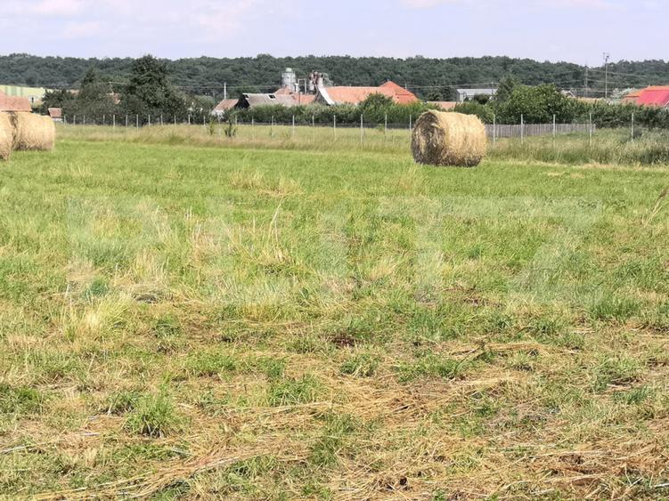 Teren intravilan generos + 2 case – 15.277 mp, front 30 m, multiple posibilități