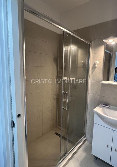Garsonieră spațioasă de inchiriat , complet utilată, Bld. Timișoara - 9