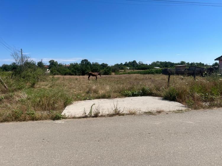 Teren INTRAVILAN  Com. Pleșoiu, sat Schitul din Deal , Str Mihail Kogălniceanu