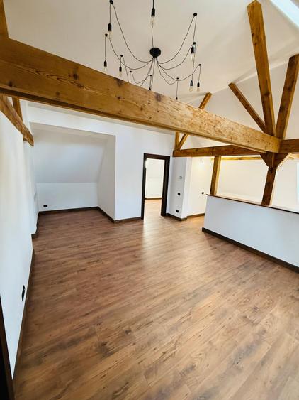 Apartament de vacanta (AP12)- TVA 0% - Vila in stil Neo-Romanesc
