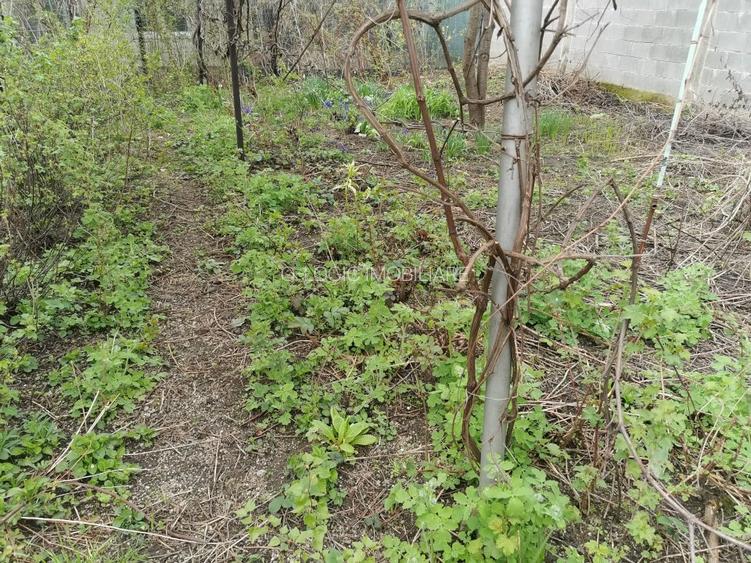 Casa 3 camere libera la vanzare zona Avram Iancu - 13