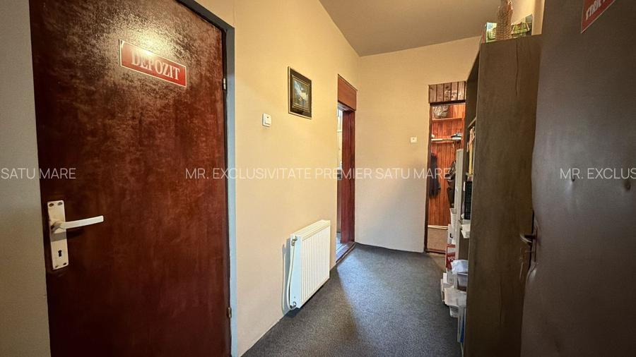 Inchiriere Spațiu Comercial 161 mp / Zona Orange / V. Lucaciu - Carei - 10
