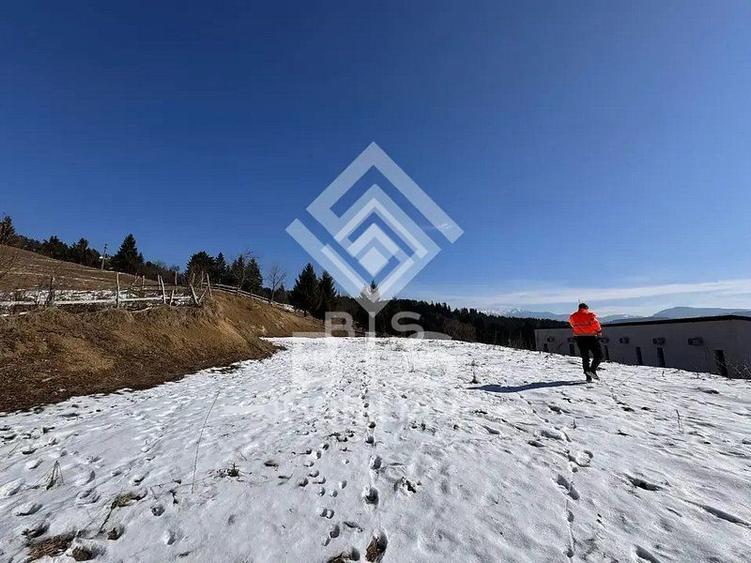 Teren intravilan Colibita 26 arii