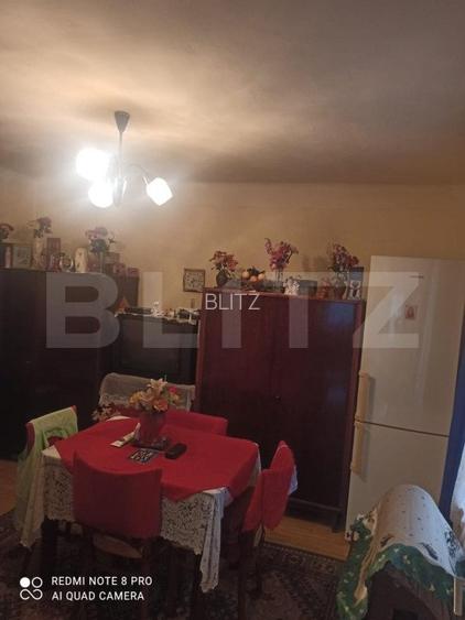 Casa cu 2 camere, 52mp, zona Remetea - 13