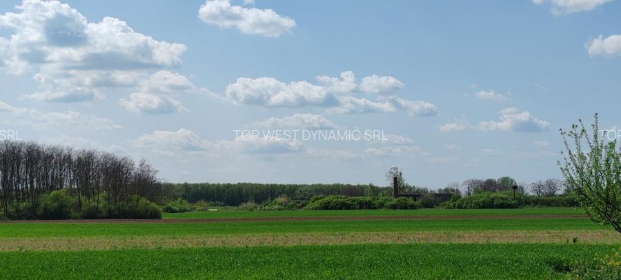 Casă și teren generos – sat Ciuhoi, comuna Săniob, județul Bihor - 8