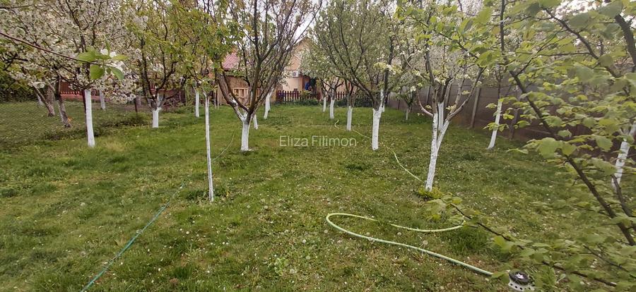 Casă individuală 4 camere 123,4 mp construiți + 76 mp anexe pe un teren de 588 m - 11