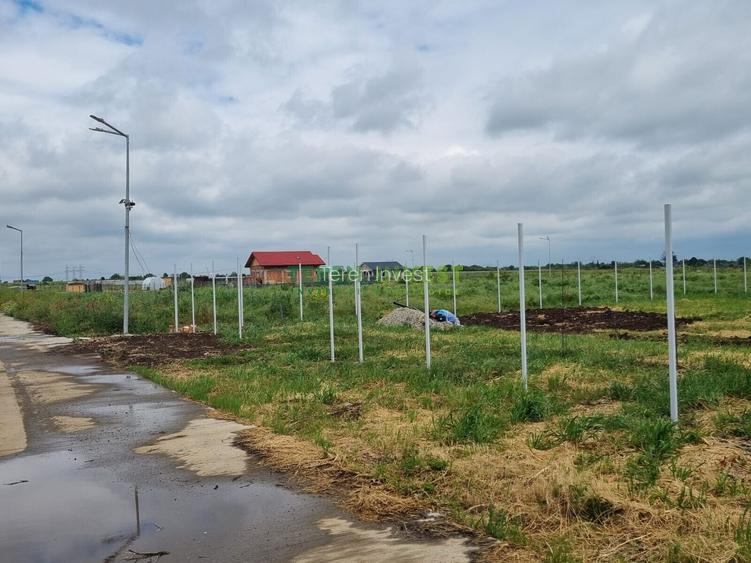 PARCELE REZIDENȚIALE – FRUMUȘANI, CU DESCHIDERE LA DN4! - 3