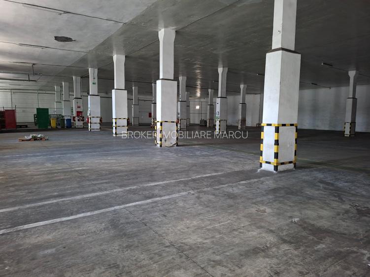 Centrul  3 G Logistics  5000mp - 9