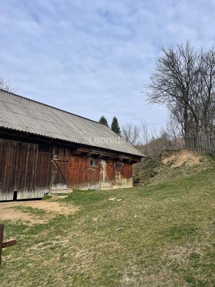 Casa de vânzare+ anexa gospodărească  - 3