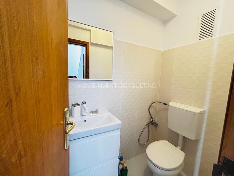 Proprietate de Lux   Ion Mihalache Aviatorilor Arcul Triumf - 5