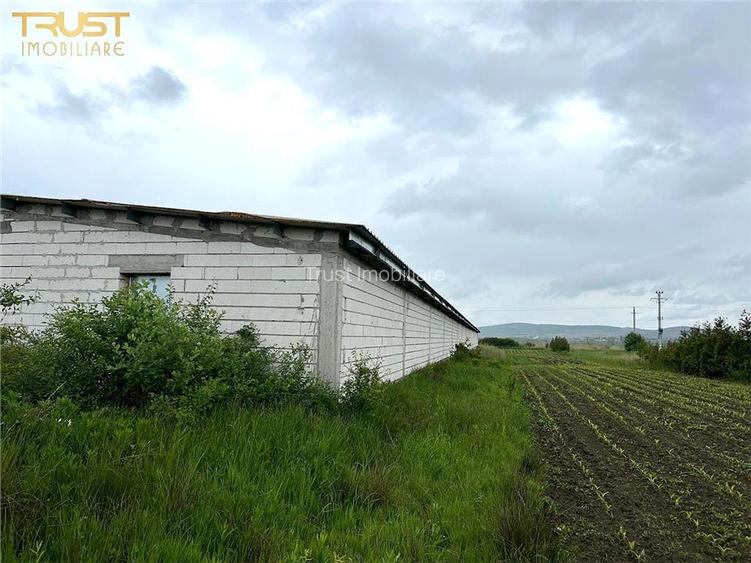 Hala industriala, spatiu depozitare 1000 mp, teren 5400 mp - 6