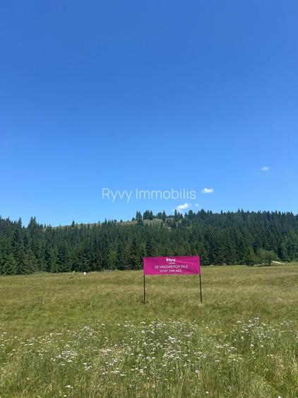 OPORTUNITATE ÎN INIMA NATURII-Teren intravilan, COMANDĂU, COVASNA - 3