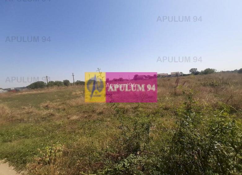 Teren pentru investitie langa Bucuresti - 4