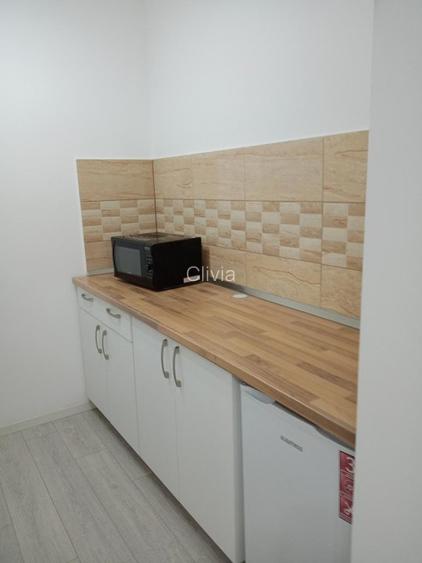 De inchiriat! Apartament cu o camera in Piata Victoriei! - 4