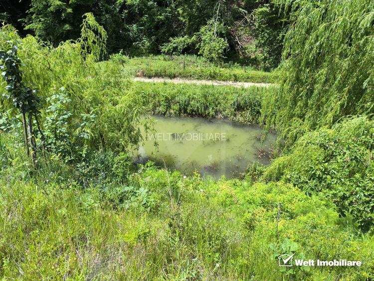 Casa de vacanta, cu lac, 5640 mp teren, Huta, com. Chiuiesti, jud. Cluj - 34