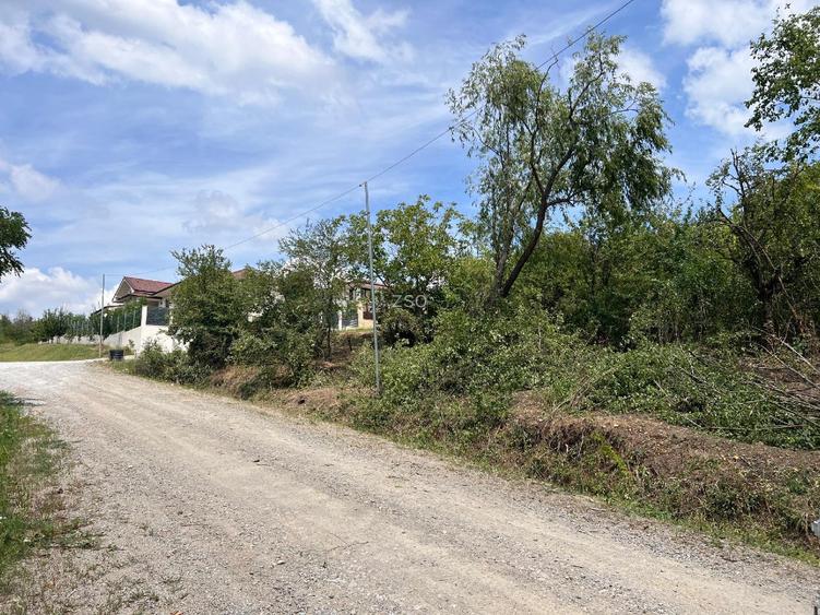 Teren intravilan, zona verde, 1250mp, str. Soarelui Oradea  - 7