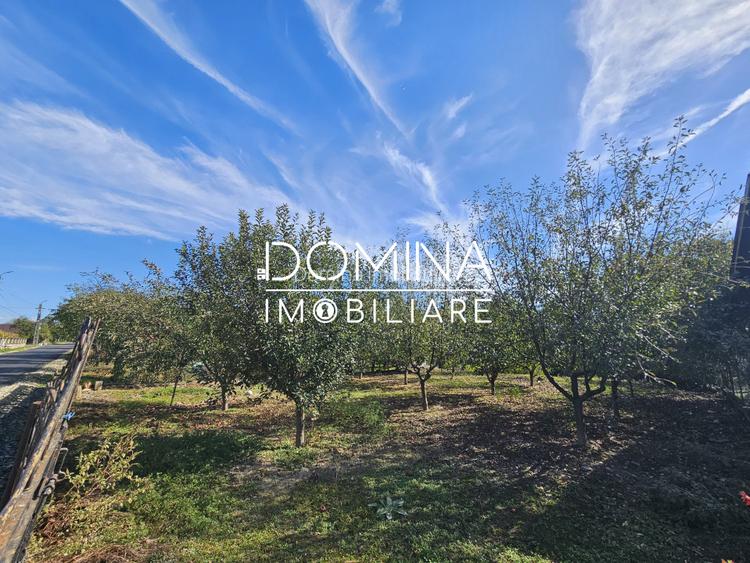 Vanzare teren *intravilan 308 mp cu utilitati* - Sat Ceauru, Comuna Balesti - 5